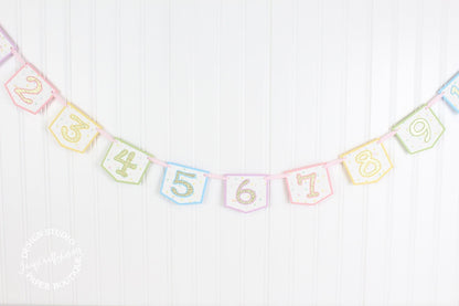 Pastel Rainbow Monthly Photo Banner: Unicorn Ice Cream Theme