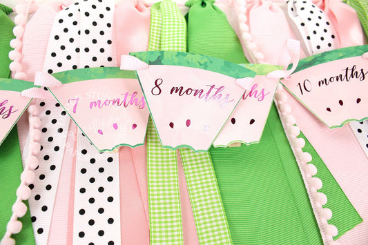 Watermelon 1st Birthday Photo Banner: Milestone Garland