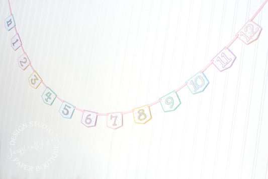 Pastel Rainbow First Year Photo Banner: Glitter Milestone Garland